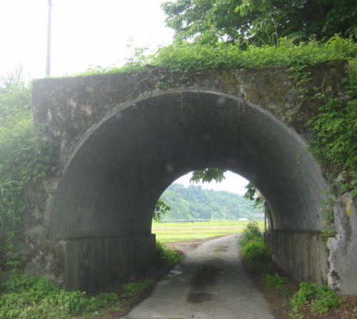 新緑の季節に_f0067514_15351479.jpg