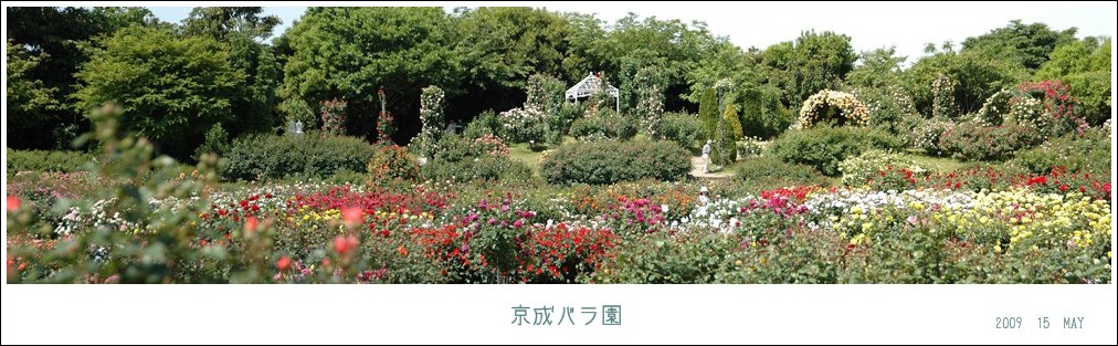 f0012718_8283263.jpg
