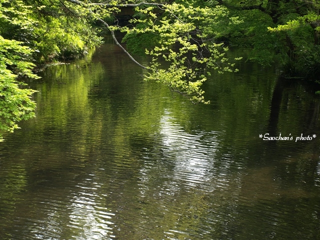 c0157624_9451820.jpg