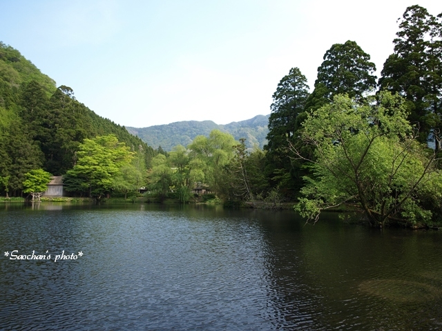 c0157624_9454274.jpg