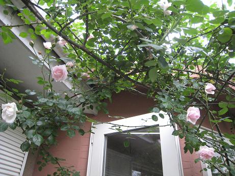 f0166824_20323436.jpg