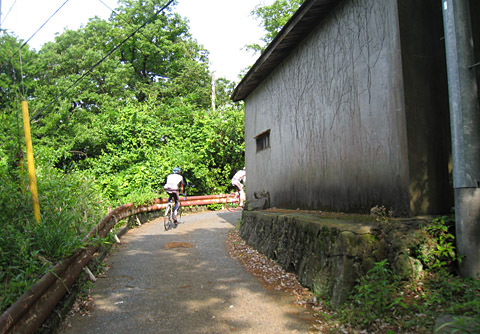 e0089826_21221036.jpg