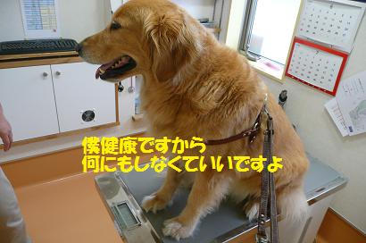 f0114128_1859814.jpg