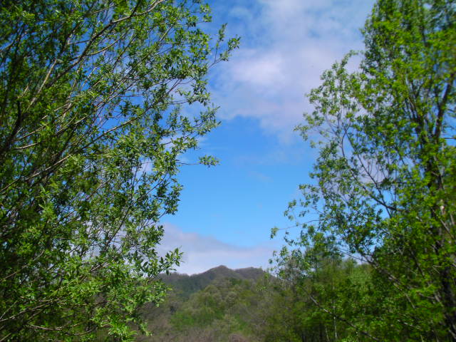 d0111435_22444953.jpg