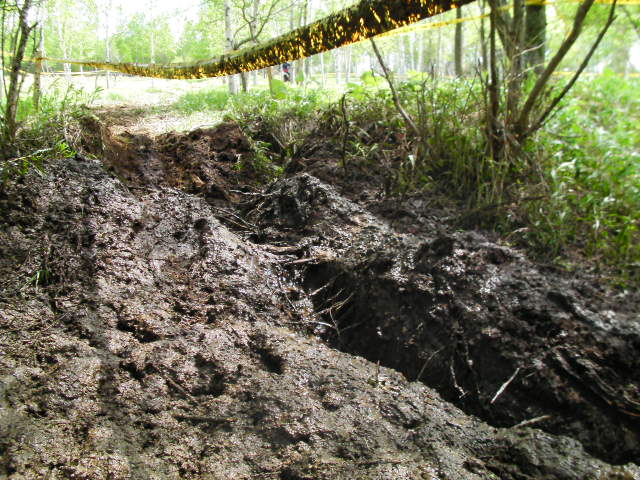 d0111435_2258469.jpg