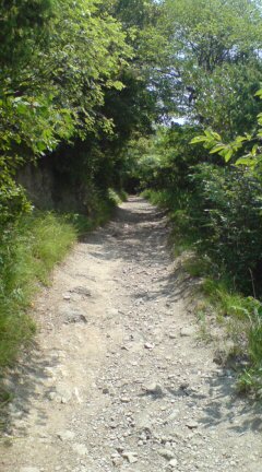 e0116542_0303953.jpg