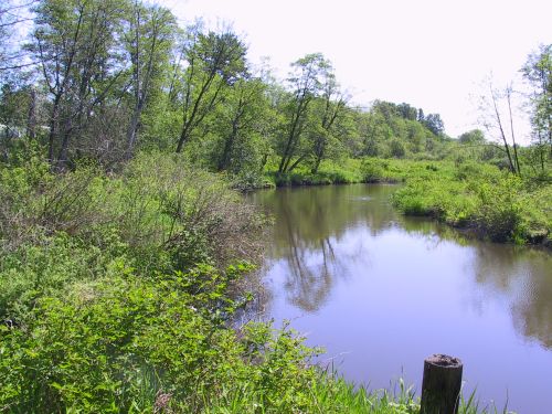 a0025444_11245143.jpg