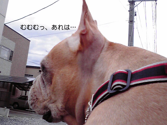 f0090344_14284452.jpg