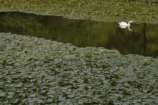 奥卯辰山健民公園_c0093046_015154.gif