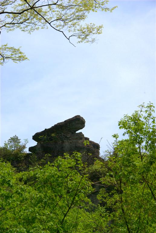 b0168752_14592050.jpg