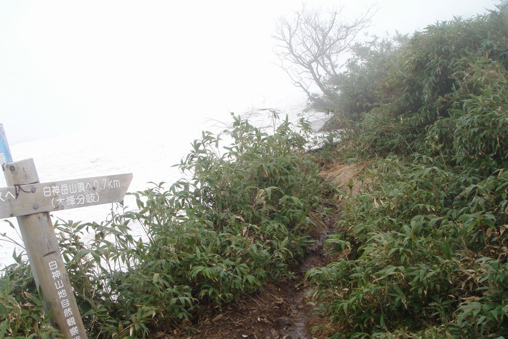 白神岳 - 青森県深浦町_f0137955_19332.jpg