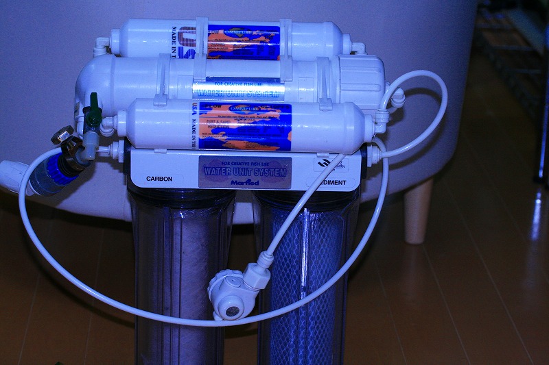 e0170757_20152659.jpg