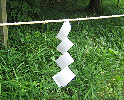 f0156359_2364399.jpg