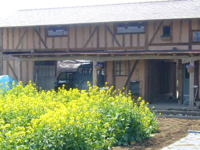 f0159870_23361332.jpg