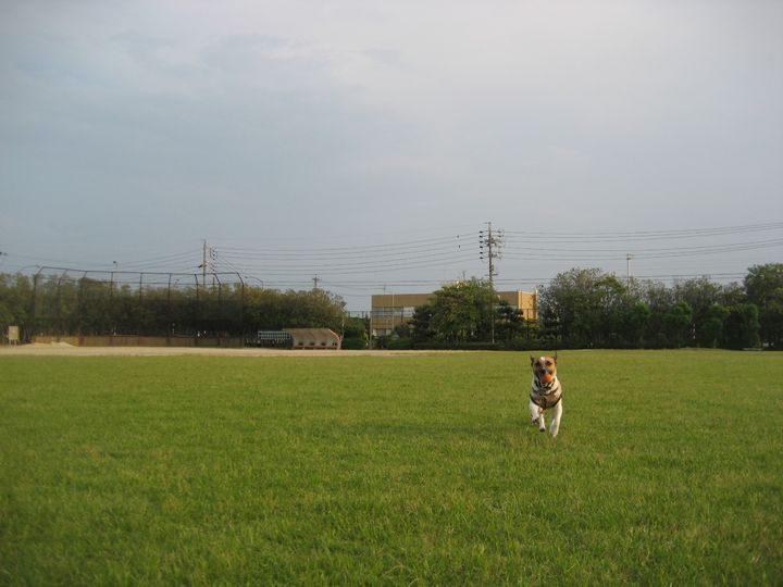 f0100871_2149763.jpg