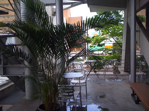 a0010575_22453195.jpg
