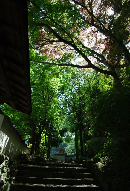 e0152576_21504341.jpg