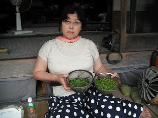 ５月２３日畑草むしり、午後　山椒の実の収穫手伝い、夜事務所_d0143678_2254117.jpg