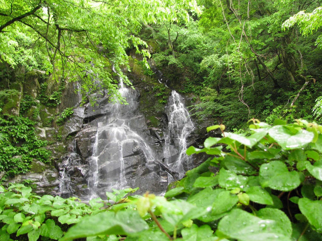 e0024081_0305354.jpg