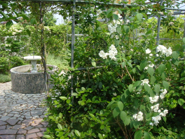 e0154682_21411913.jpg
