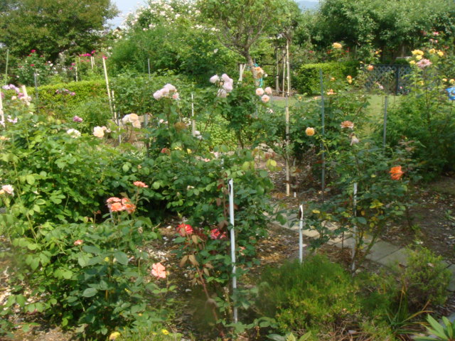 e0154682_21462512.jpg