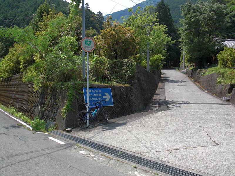 d0036883_9552526.jpg