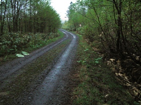 d0082288_92081.jpg