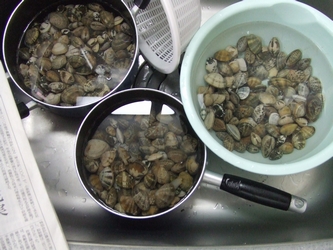 c0039291_116813.jpg