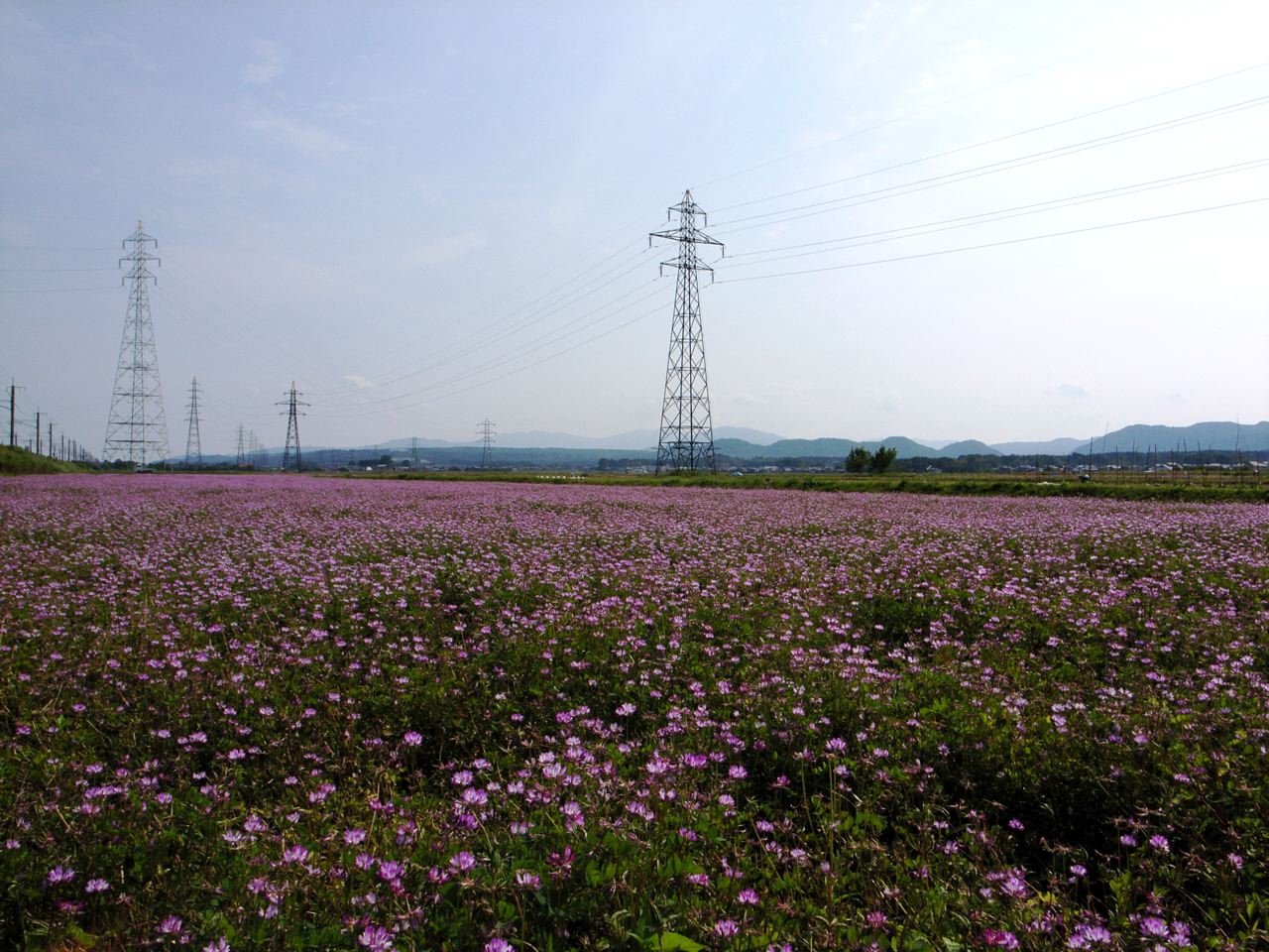 c0190391_193338.jpg