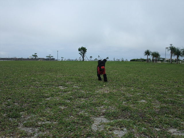 a0118493_9383346.jpg
