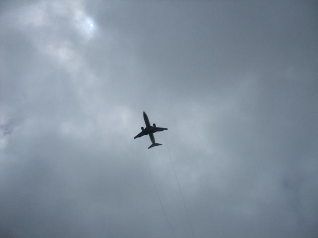 a0118493_9445872.jpg