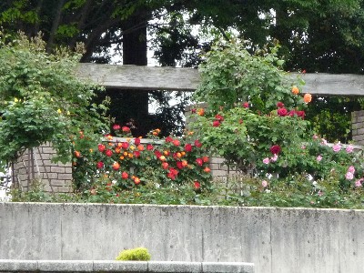 c0108693_1401217.jpg