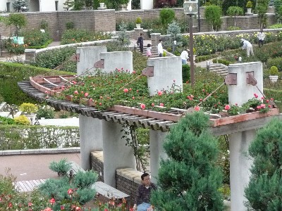 c0108693_1419322.jpg