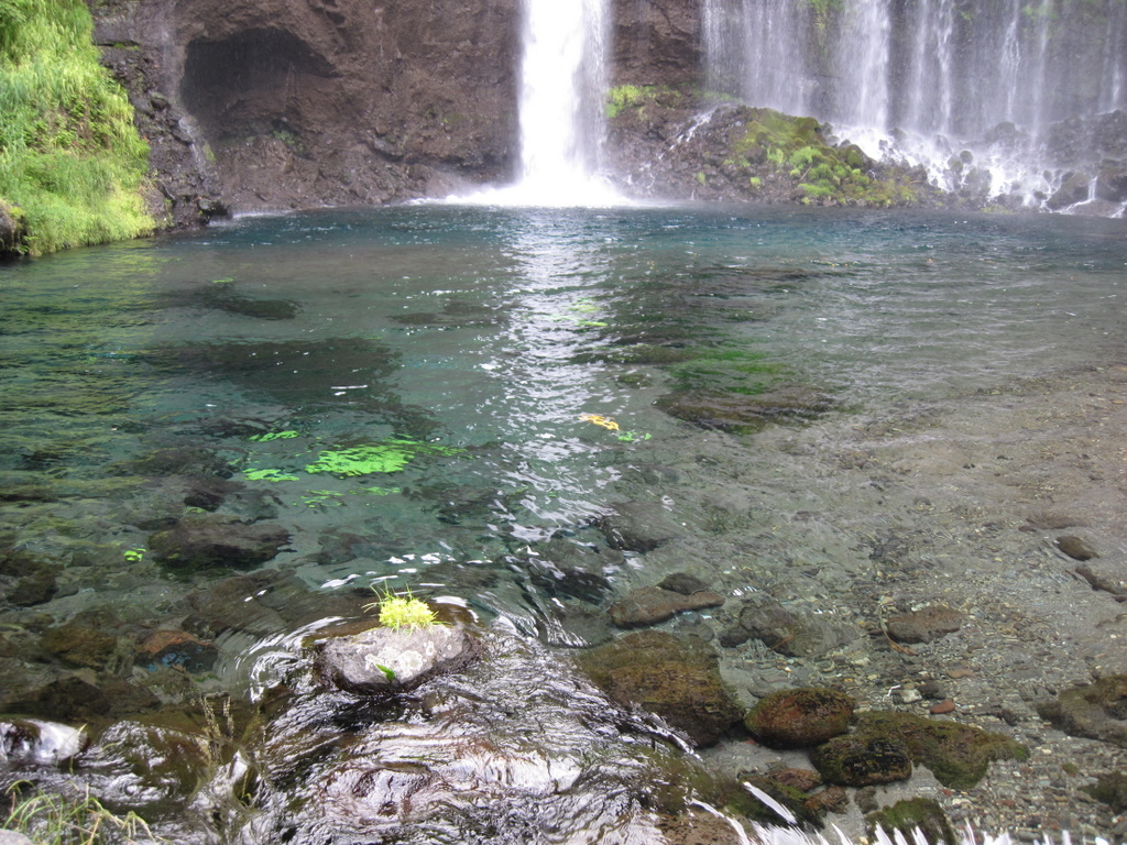 e0099496_13403028.jpg