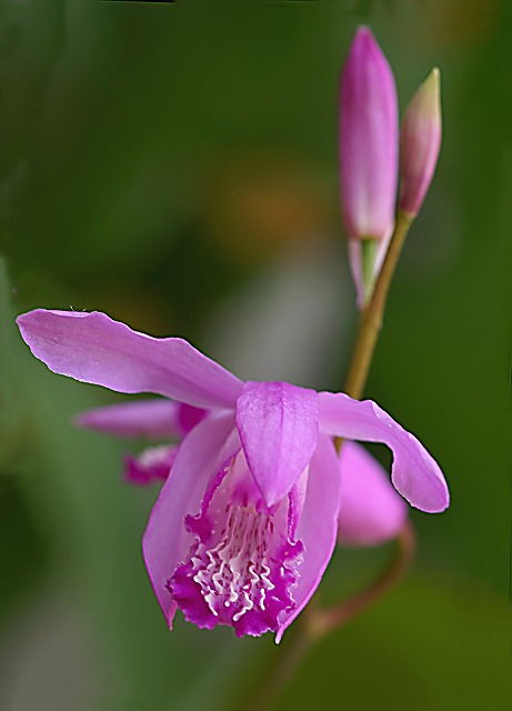 e0039703_12395725.jpg