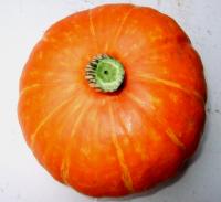 かぼちゃ、初収穫_d0026905_20282865.jpg