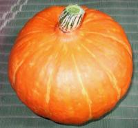 かぼちゃ、初収穫_d0026905_20284123.jpg