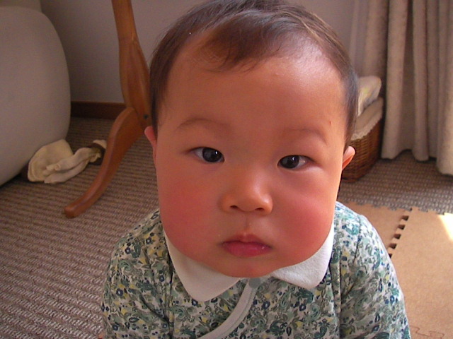 f0038407_0191612.jpg