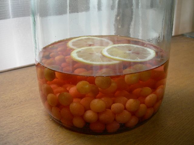 c0149408_2135768.jpg