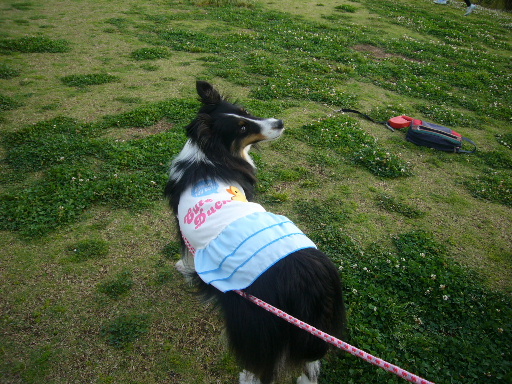 e0130008_2034395.jpg