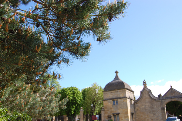 a0053511_33841.jpg