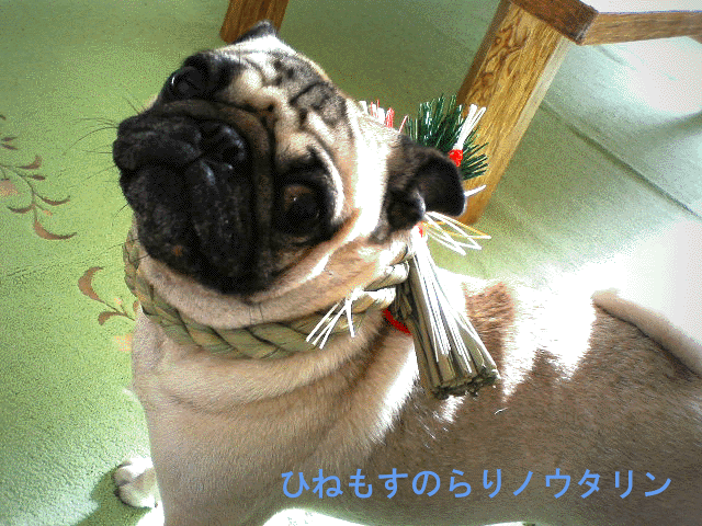 b0182613_9554411.gif