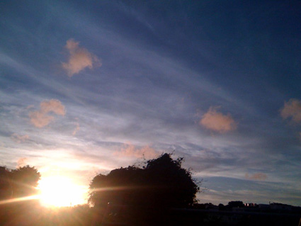 d0051613_2155625.jpg