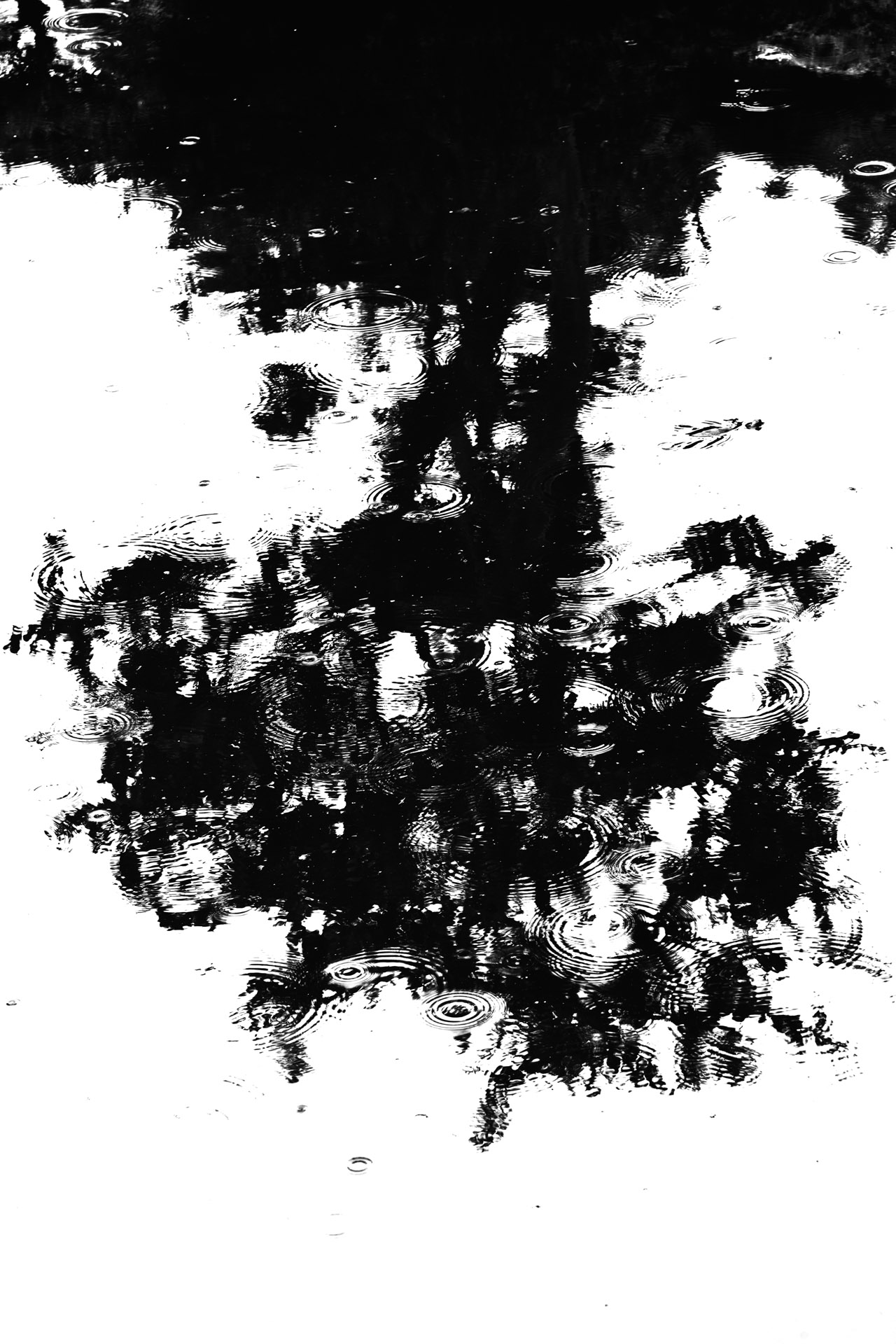 d0073620_19335563.jpg