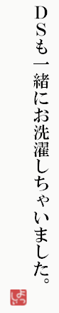 f0194020_1431288.gif