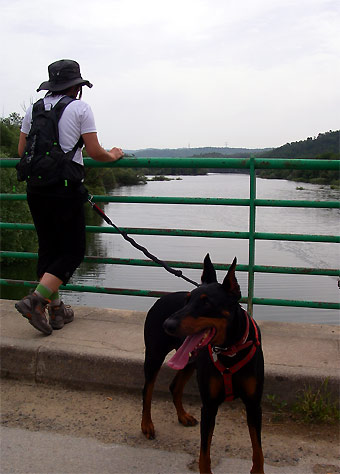 Lac de Saint-Cassien ラック・ドゥ・サン・カシアン_d0062721_6144234.jpg
