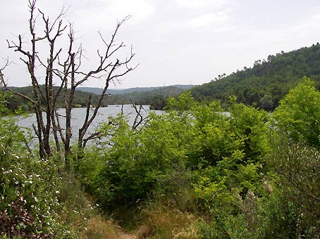 Lac de Saint-Cassien ラック・ドゥ・サン・カシアン_d0062721_6194549.jpg