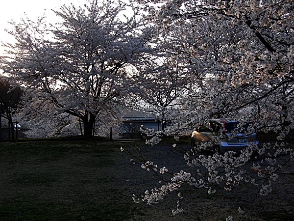 d0136422_13319.jpg