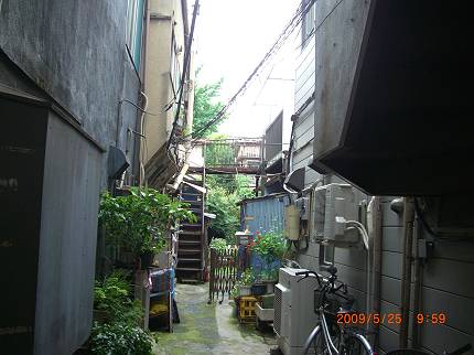 d0065324_2013470.jpg