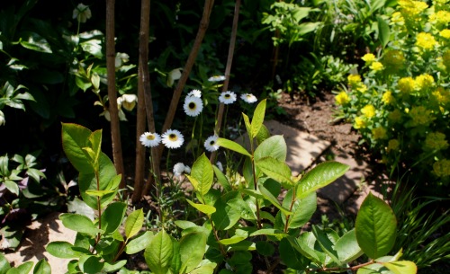 f0170524_15121556.jpg